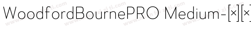 WoodfordBournePRO Medium字体转换
